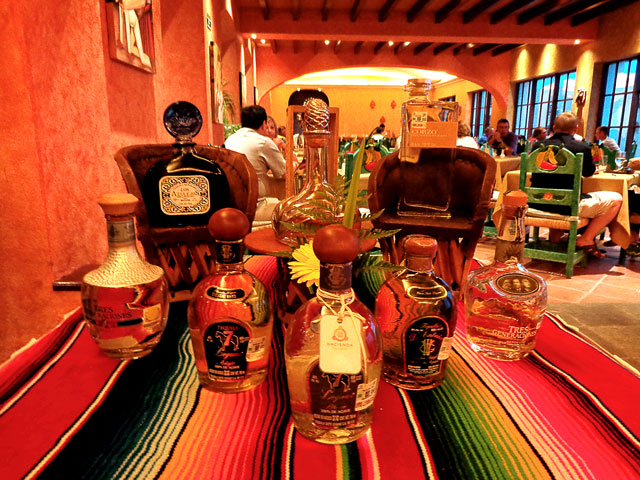 tequila tasting Riviera Maya